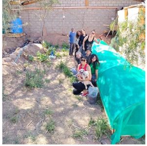 Imagen 6: Instalación de malla protectora
