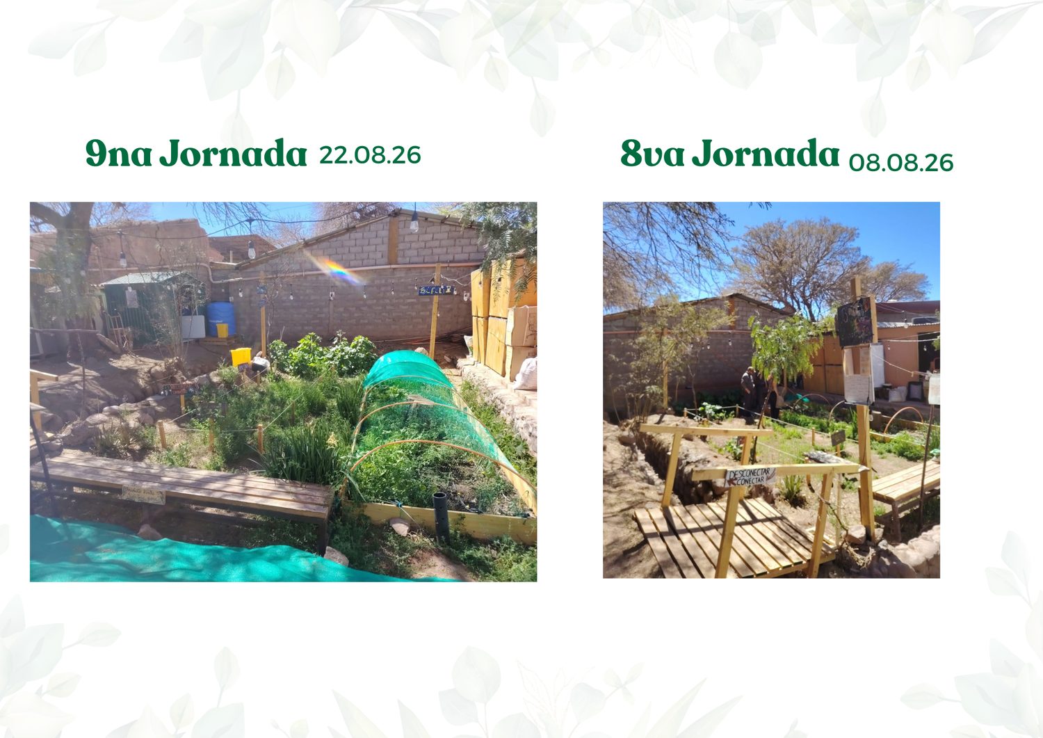 Jornadas 8va y 9na